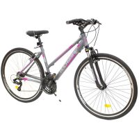 Rower miejski Rocksbike Comfort 3.0 28"/18" Szaro-różowy